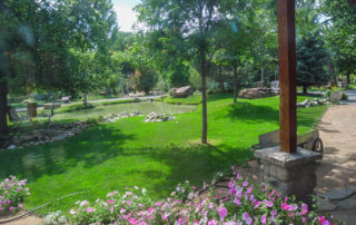 beautiful yard and landscape in western Colorado