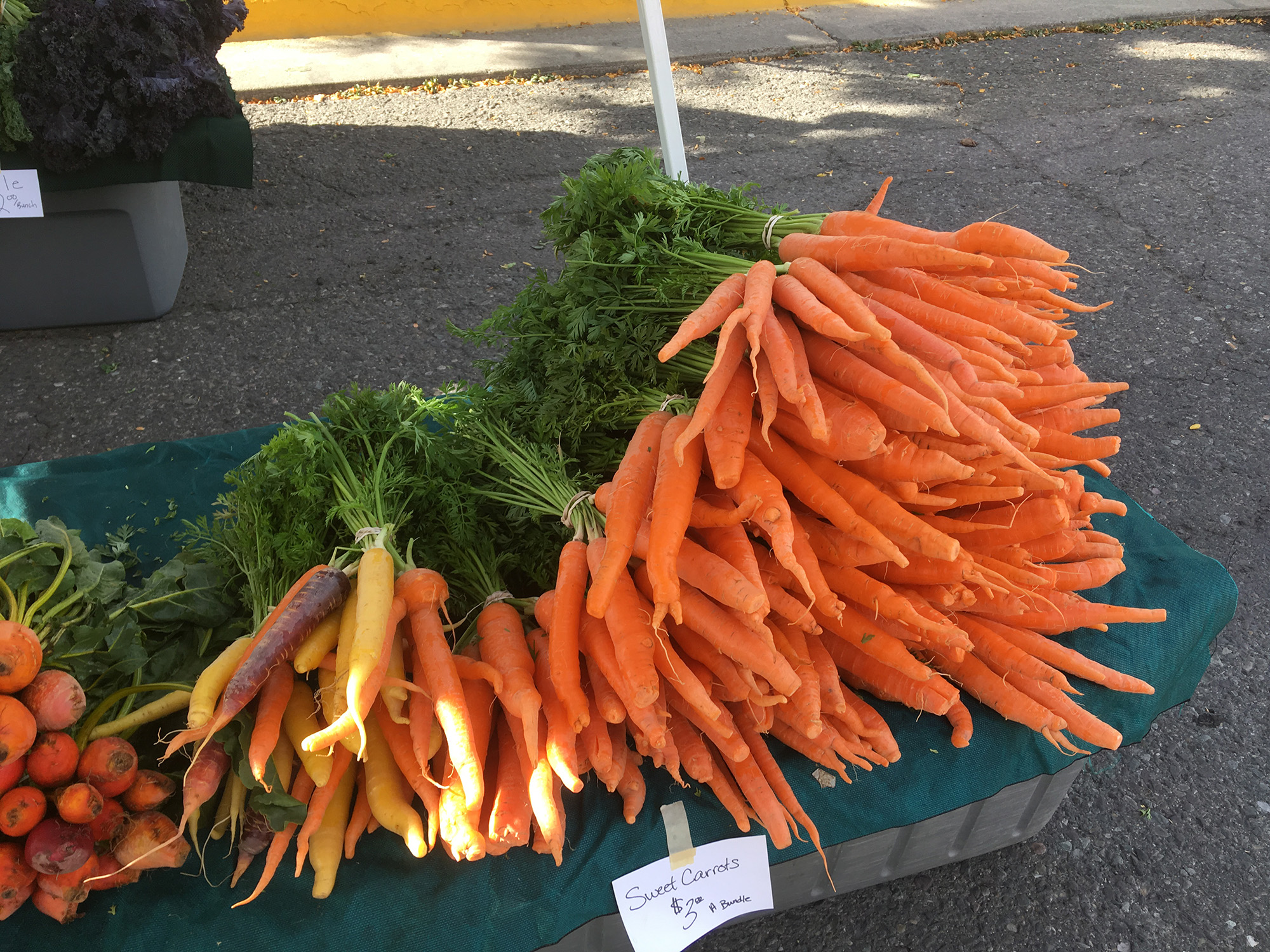 carrots for sale from Beaver Lakes Nursery and Landscape Supply in Montrose, Colorado