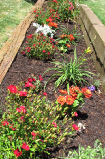 flowers-in-mulch flower bed with brown mulch