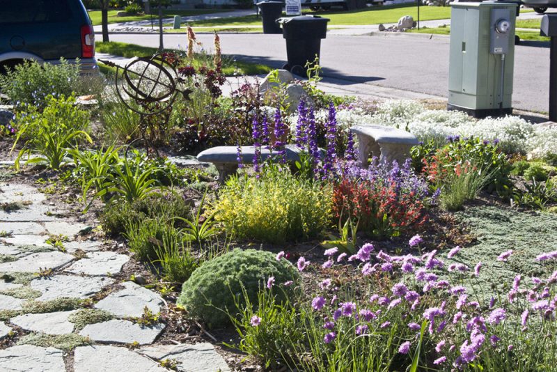 rocky path in an xeriscape garden landscape