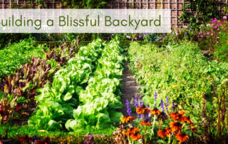 Building a Blissful Backyard is easy with the right soil amendments, and organic herbicides and insecticides.
