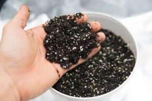 Montrose person touching soil with perlite which helps with draining in western slope's sandy and clay soils