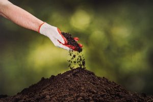 Building a blissful backyard has never been easier. Beaver Lakes Nursery provides custom soil with many organic soil amendments like coco coir, peat moss, rice hulls, and perlite.