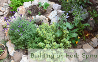 Building an herb spiral is easy and a great way to add more space to a small yard.