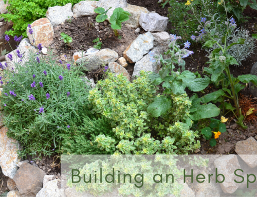 Herb Spiral: How to Build One