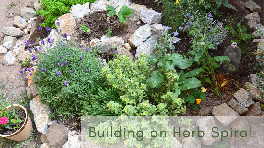 Building an herb spiral is easy and a great way to add more space to a small yard.