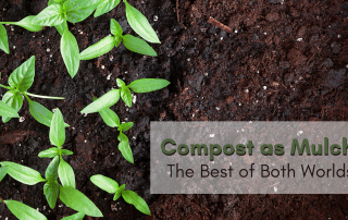 Using compost as mulch is the best way to get your garden green.