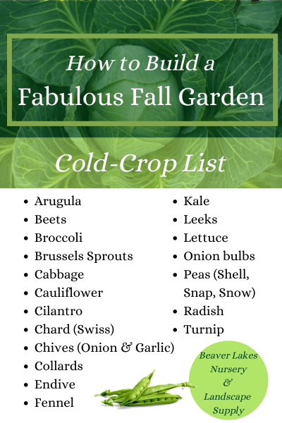 How to build a fabulous fall garden with a cold-crop list for Colorado gardening.