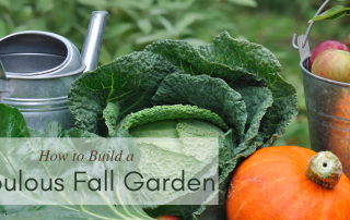 Picture of watering can, cabbage, and pumpkins, fall garden plants.