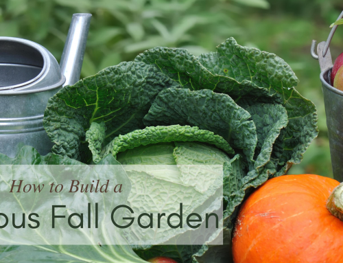 How to Build a Fabulous Fall Garden