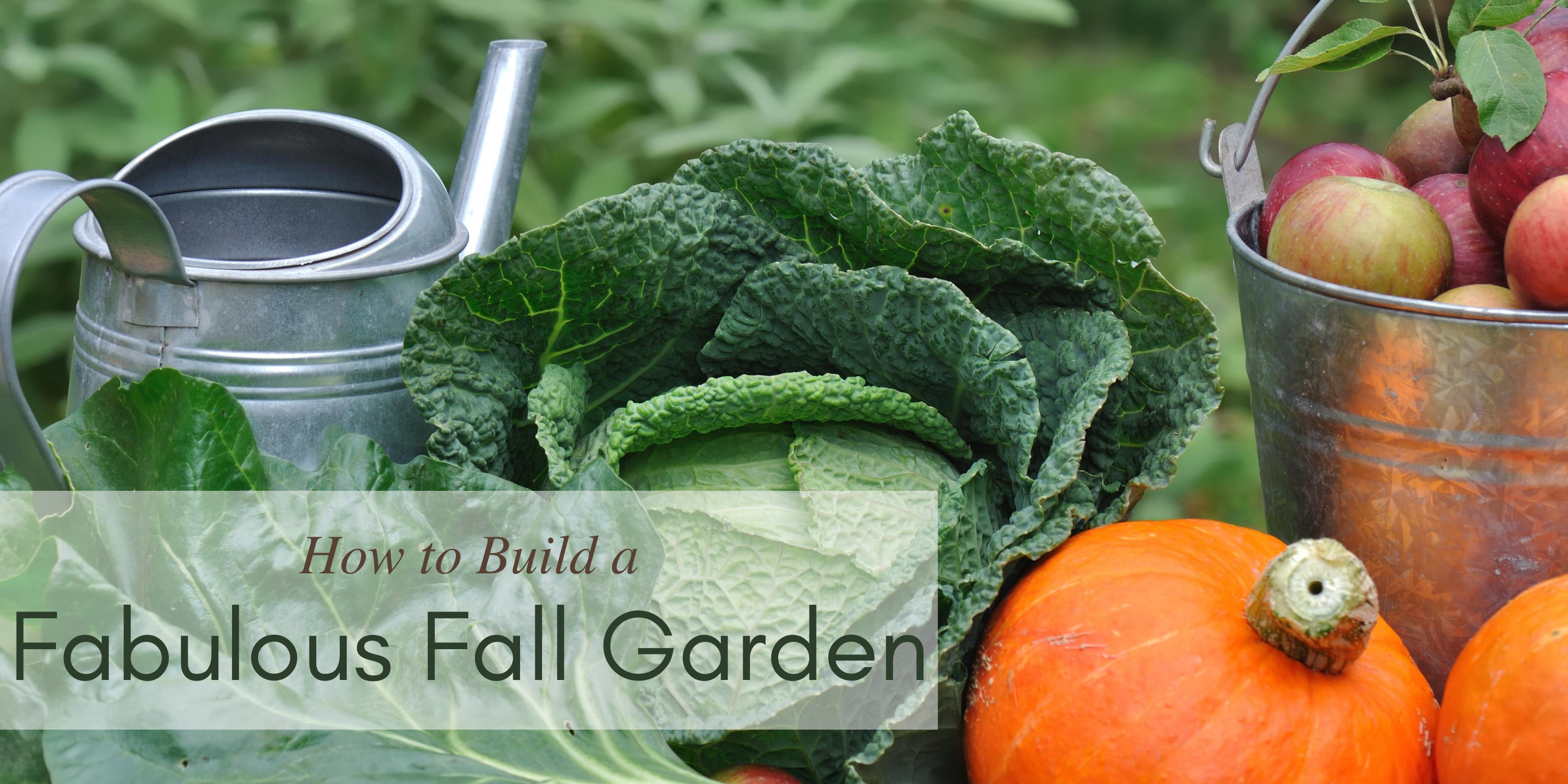 Picture of watering can, cabbage, and pumpkins, fall garden plants.