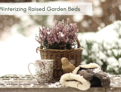 Winterizing Raised Garden Beds