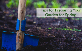 Preparing your garden for spring by loosening the soil.