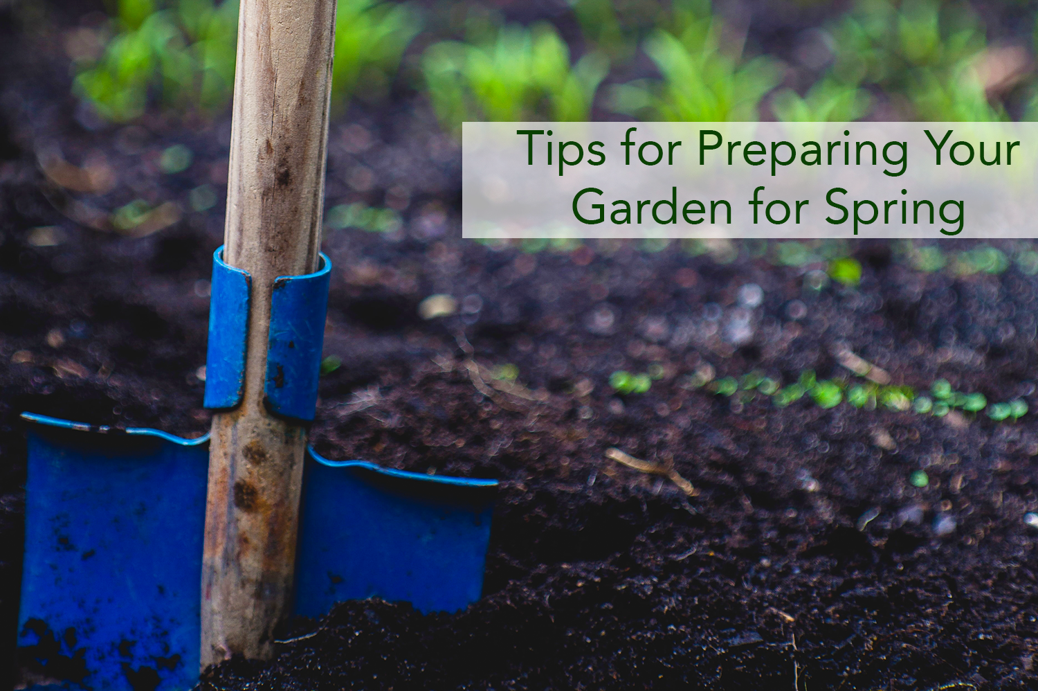 Preparing your garden for spring by loosening the soil.