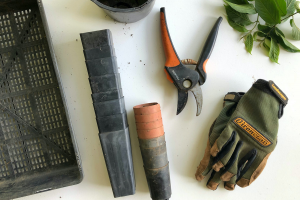 Gardening tools on a white table.