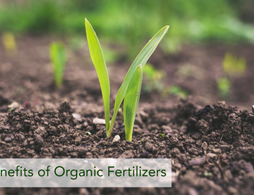 Benefits of Organic Fertilizers