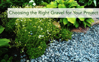 Green plants in a garden next to grey medium size gravel trail.