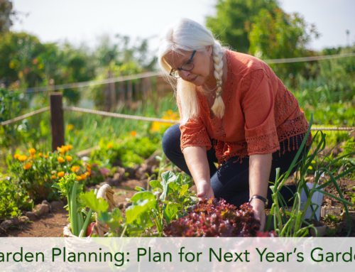 Garden Planning: Plan for Next Year’s Garden