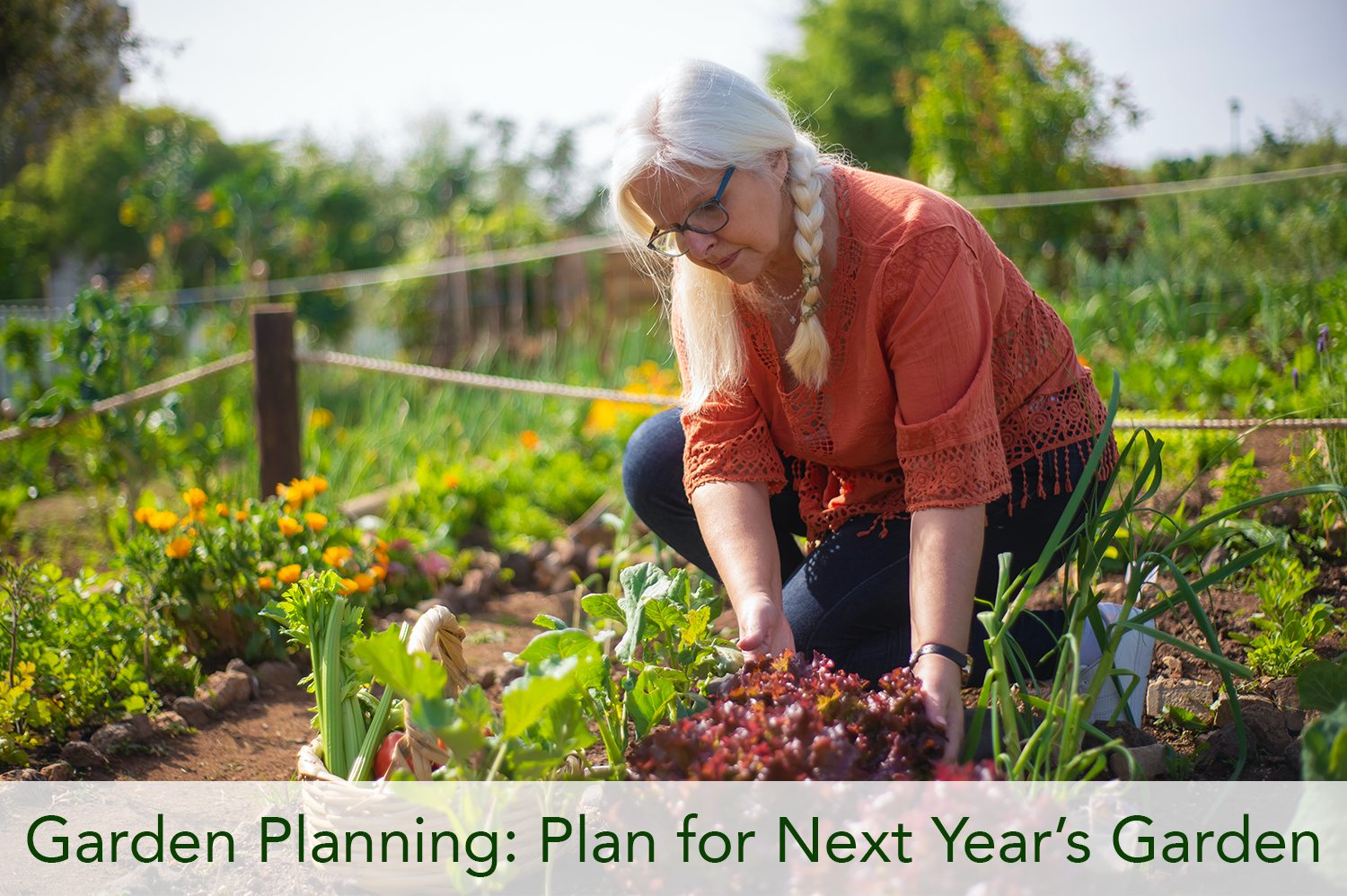 A woman gathering vegetables from her garden, noting which ones worked well for garden planning purposes.