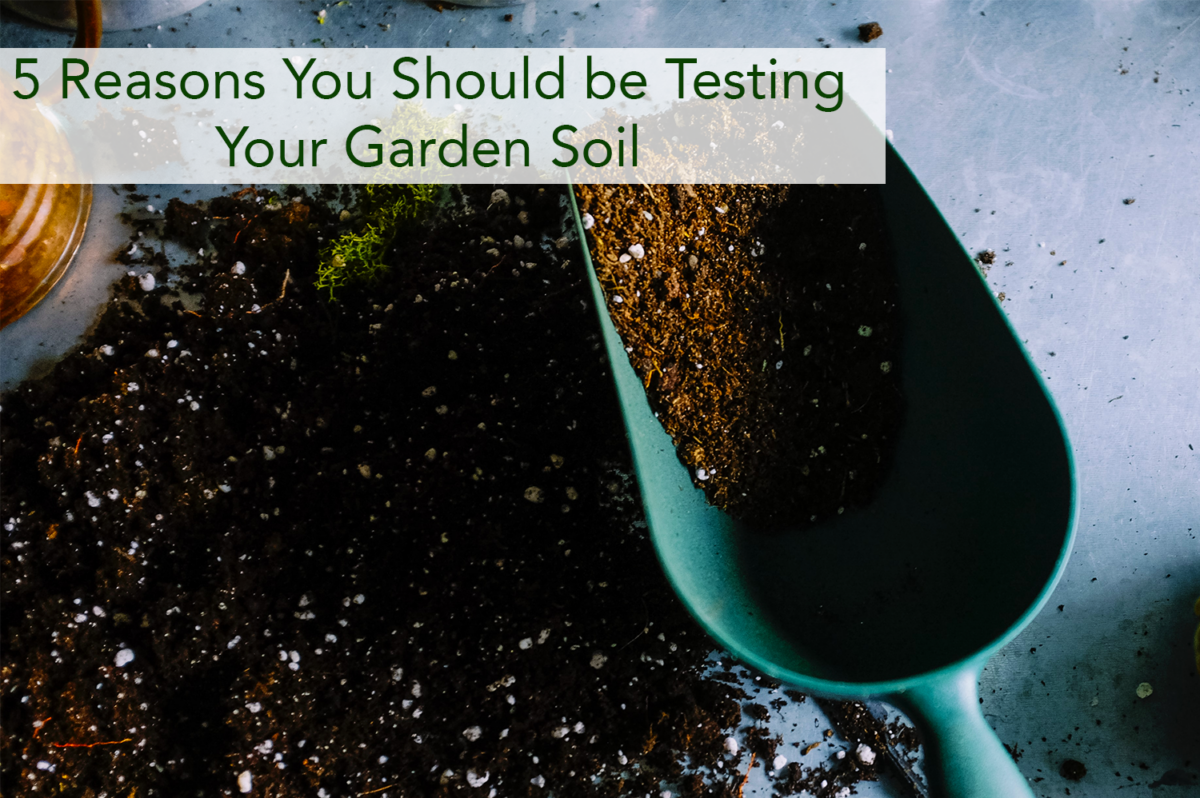 5 Reasons You Should be Testing Your Garden Soil