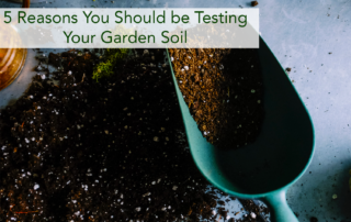 Testing garden soil with a blue spade on a gray table.