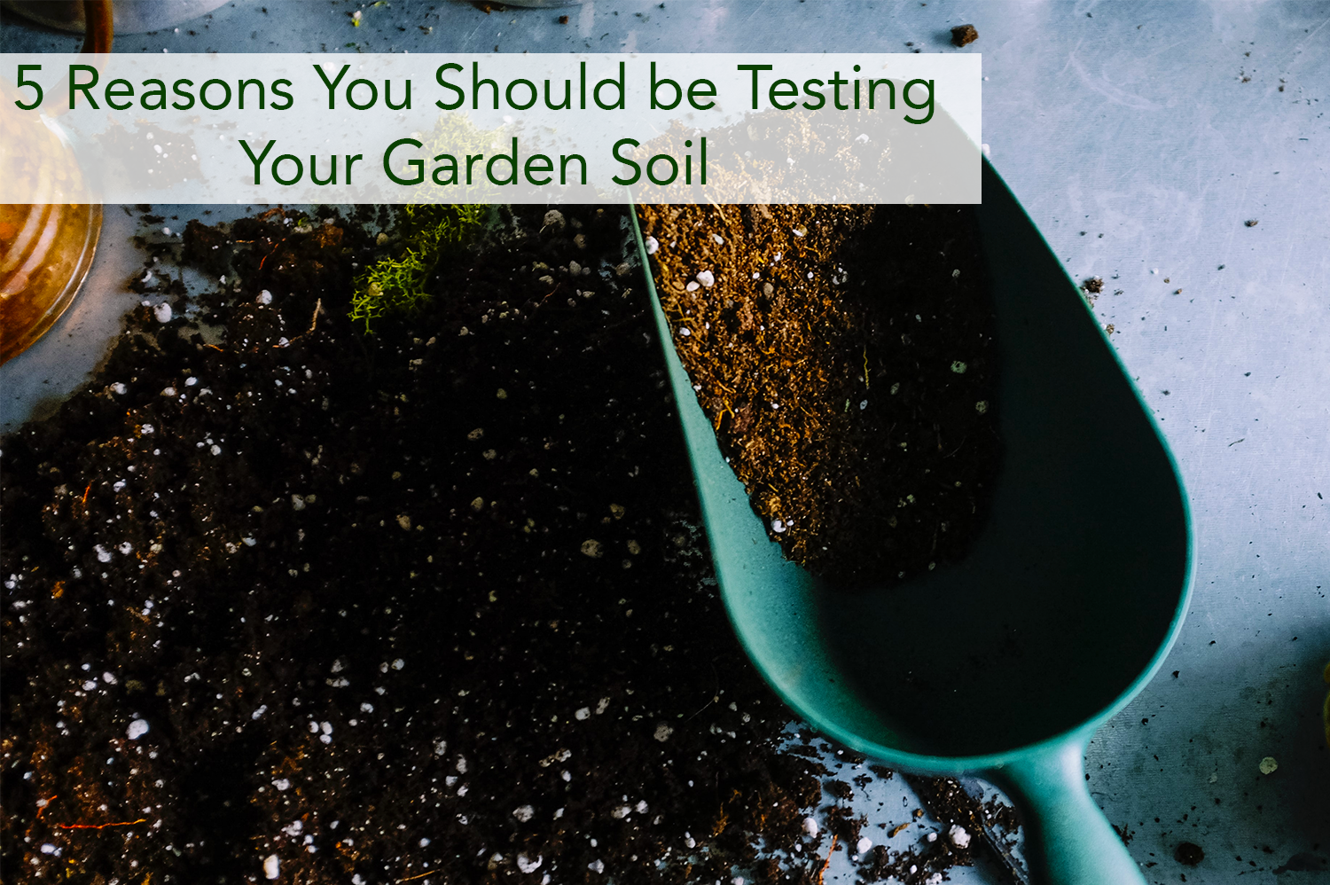 Testing garden soil with a blue spade on a gray table.