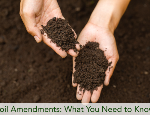Soil Amendments: What You Need to Know