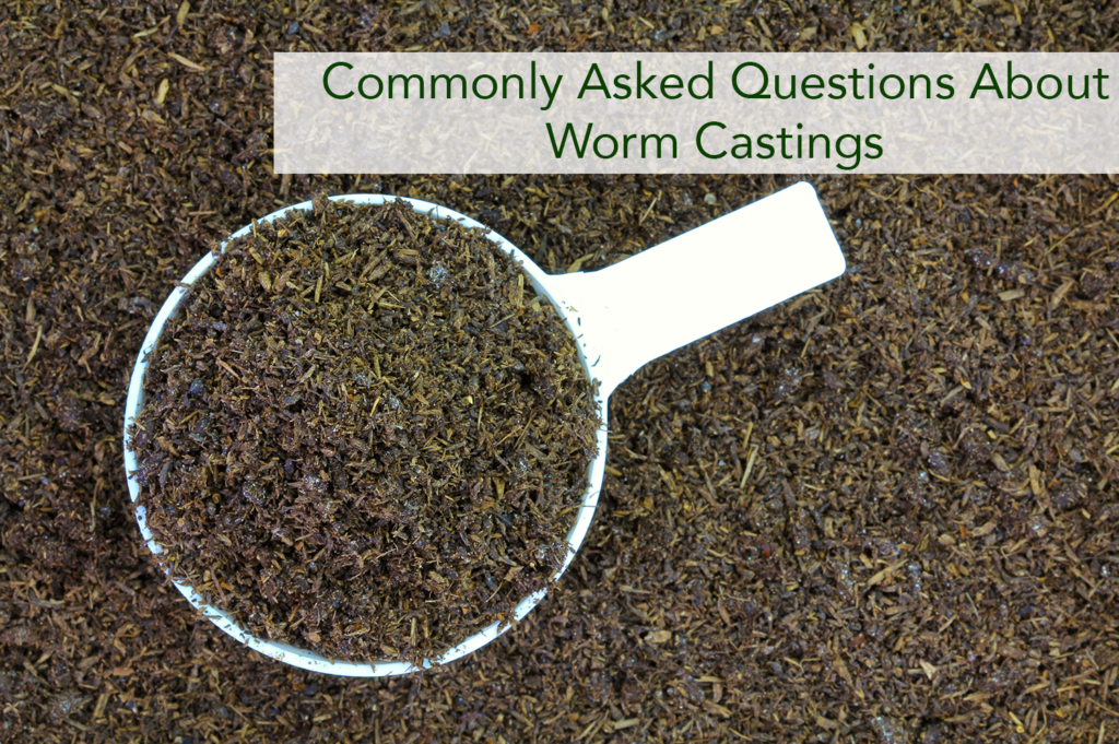 Commonly Asked Questions About Worm Castings - Beaver Lakes Nursery