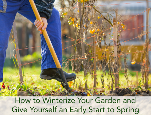 How to Winterize Your Garden and Give Yourself an Early Start to Spring